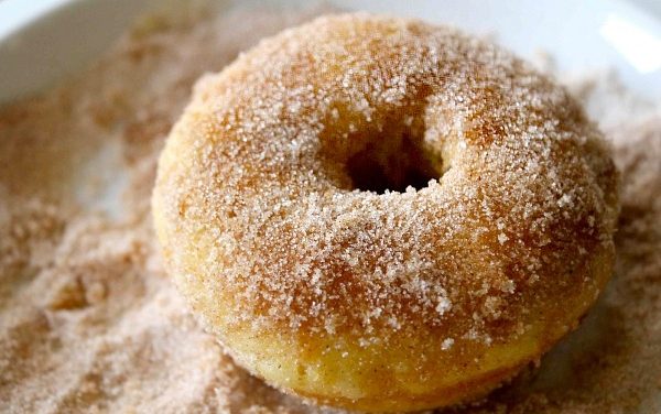 Cinnamon Sugar Protein Donuts